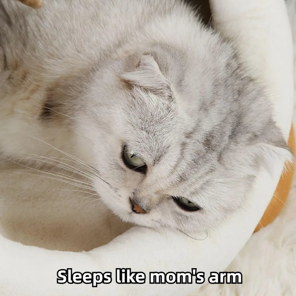 cozy pumpkin-themed cat bed with removable mat, ideal warm nest for cats and small dogs