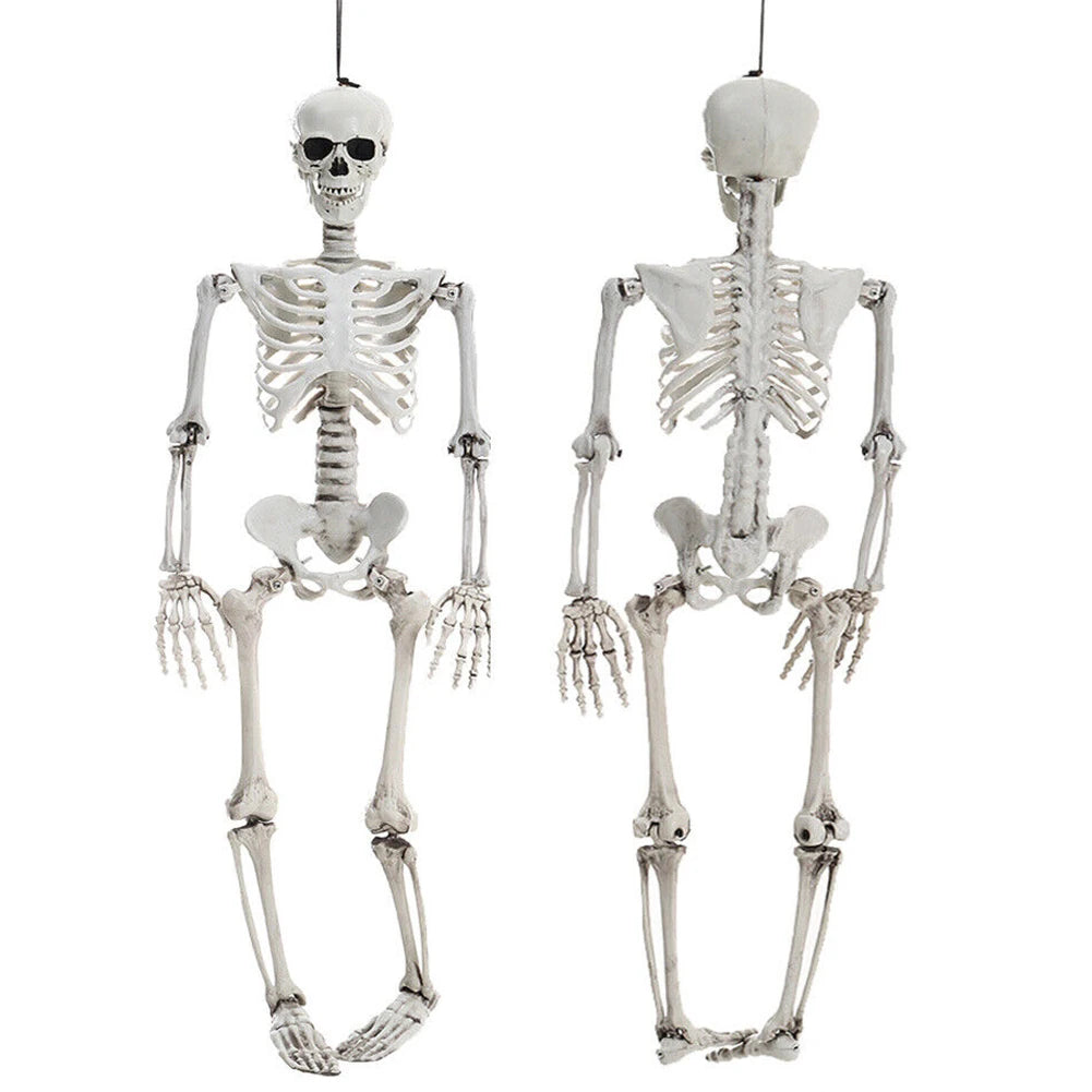 Halloween Skeleton Decors Full Body Faux Human Skeleton Decoration 90CM Props Festival Decorations White Skull Frame