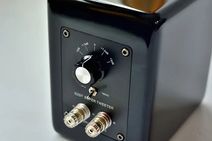 A-621 Aurum Cantus G2ST Regallautsprecher Bändchen Superhochtöner 10kHz-40kHz 92dB oder 16kHz-40kHz 94dB MDF Klavierlack 120W