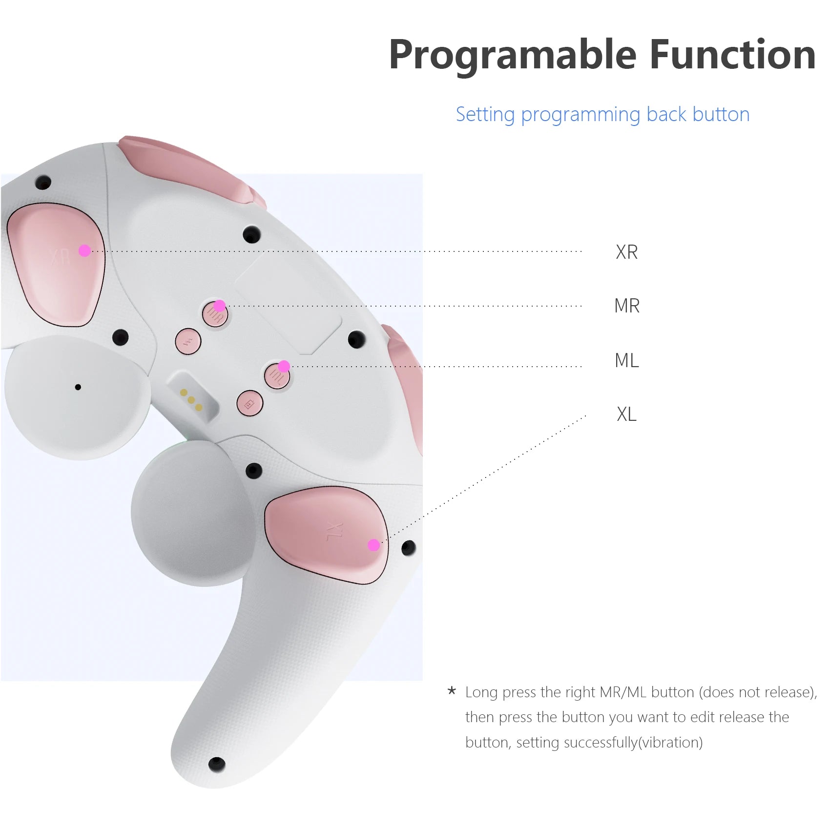LinYuvo Retro RGB Multicolor Light Wireless Gamepad for Switch Pro with Fast Charging Dock KS62
