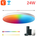 Tuya WIFI Control 24W IP44 Waterproof Bathroom Lights Fitting Smart Life Light Dimmable with Remote Control Ceiling Light