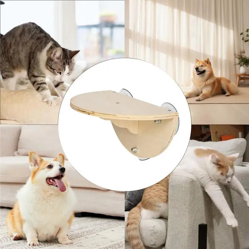 Cat Perch Hammock With 3 Suction Cups Space Saving Window Sill Kitten Climbing Shelf And Perches Bed Furniture Pet Jumping