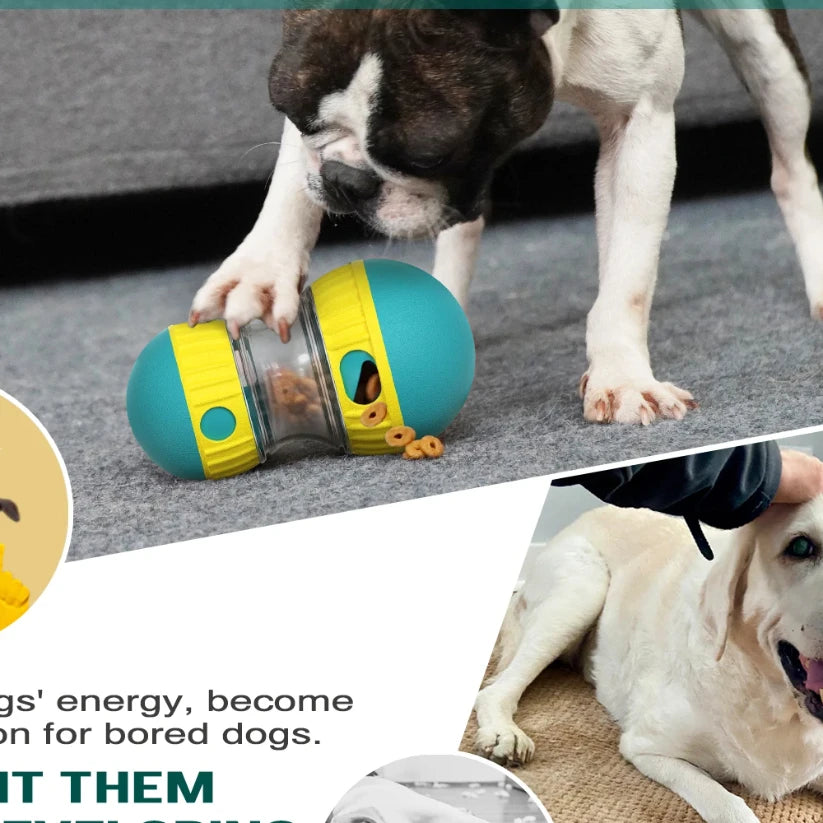 Treat Enrichment Pet Toys Slow Feeder Ball Food Dispensing Puppy Toy for Small Medium Dogs Irregular Rolling Design Dog Toys