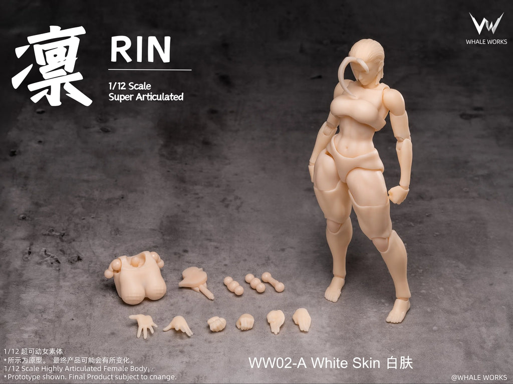 In Stock WHALE WORKS WW01/02 ARIA RIN FEMALE BODY Movable Model Toys 1/12 Super Articulated Cammy White Chun Li