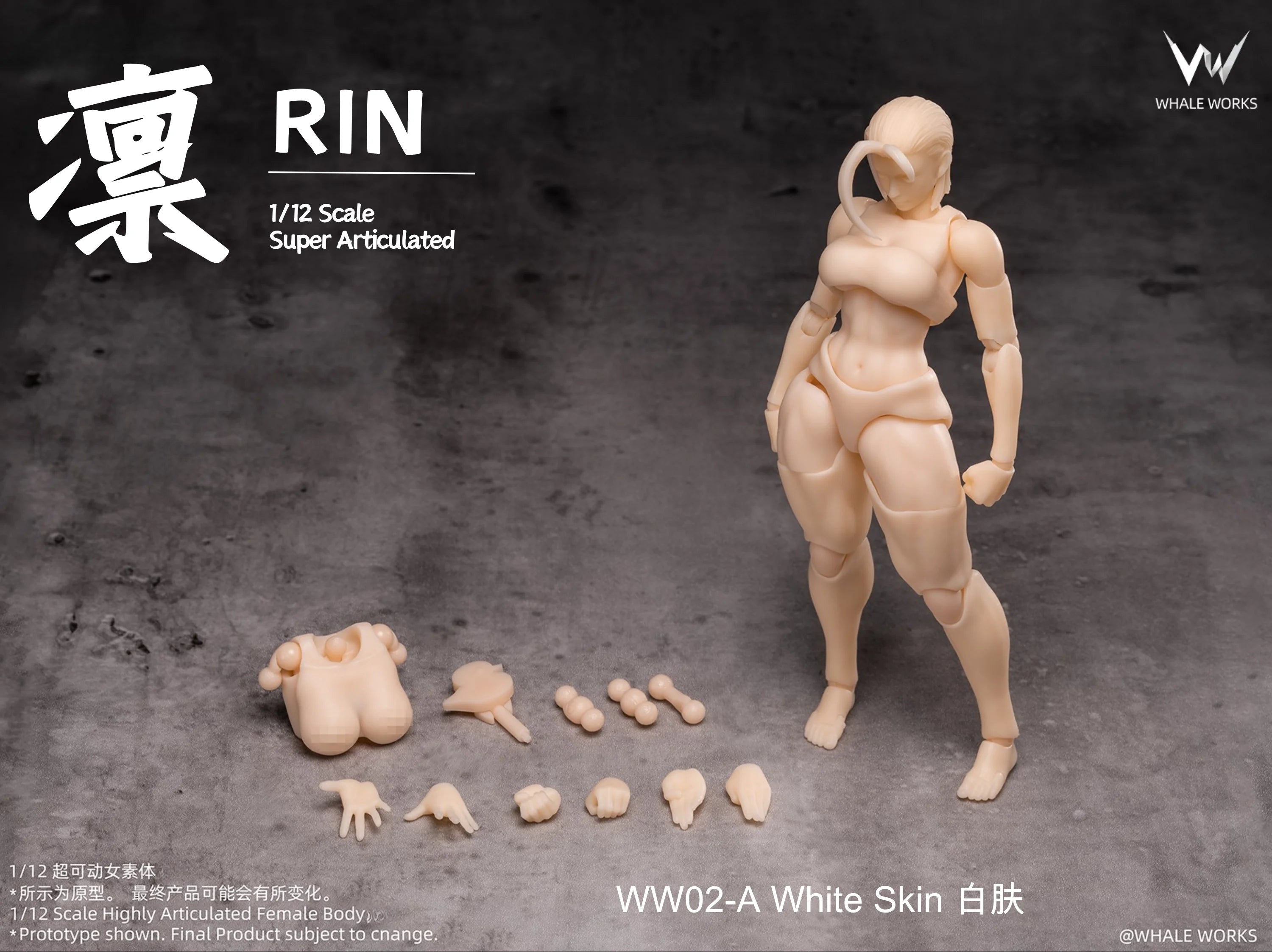 In Stock WHALE WORKS WW01/02 ARIA RIN FEMALE BODY Movable Model Toys 1/12 Super Articulated Cammy White Chun Li