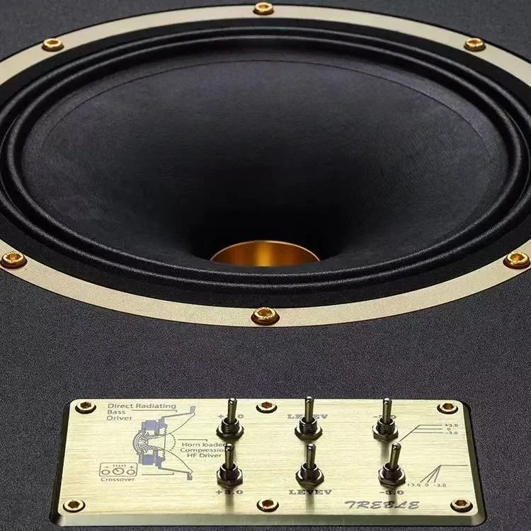 A-1593 10 Zoll Koaxial-Bodenlautsprecher HIFI Angepasst Co Magnetische Lautsprecher Home Lautsprecher System 150W 8Ohm 1 Paar