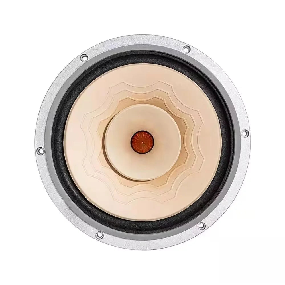 Z-1223  LiiSong Silver-10 EVO 10 Inch Full Frequency Speaker Flagship Series Floor Speaker 25-50 W 8 Ohm (1 Pair)
