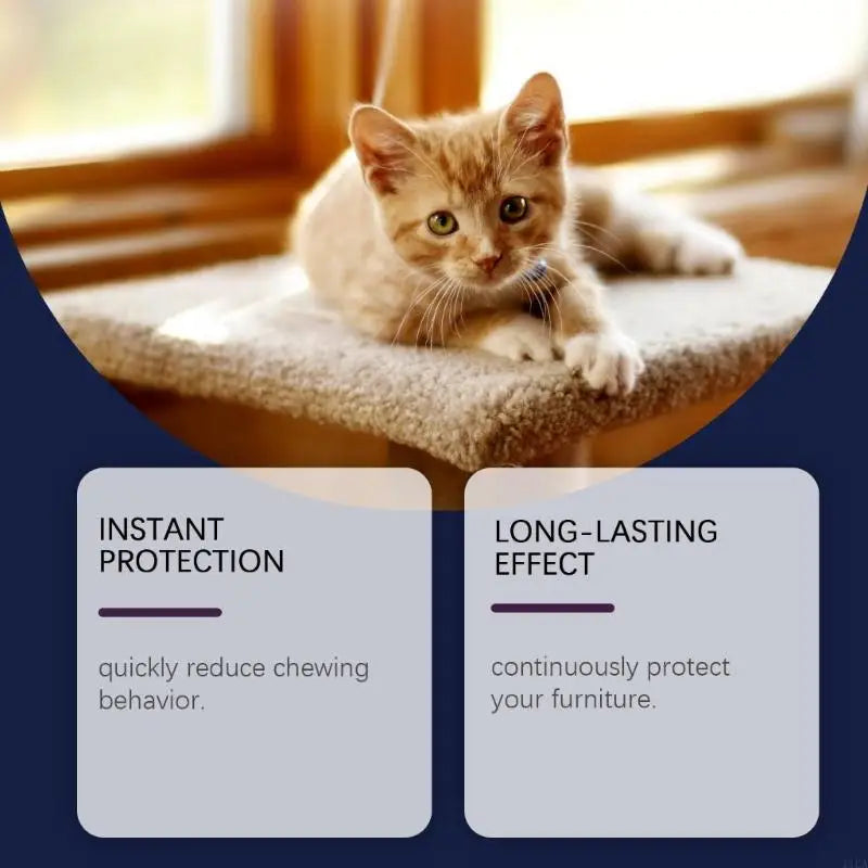 11UA 2Bottle Cats Training Deterrents Sprayer 50ml Gentle Formula for Protecting Furniture and Environment Safe for Pet