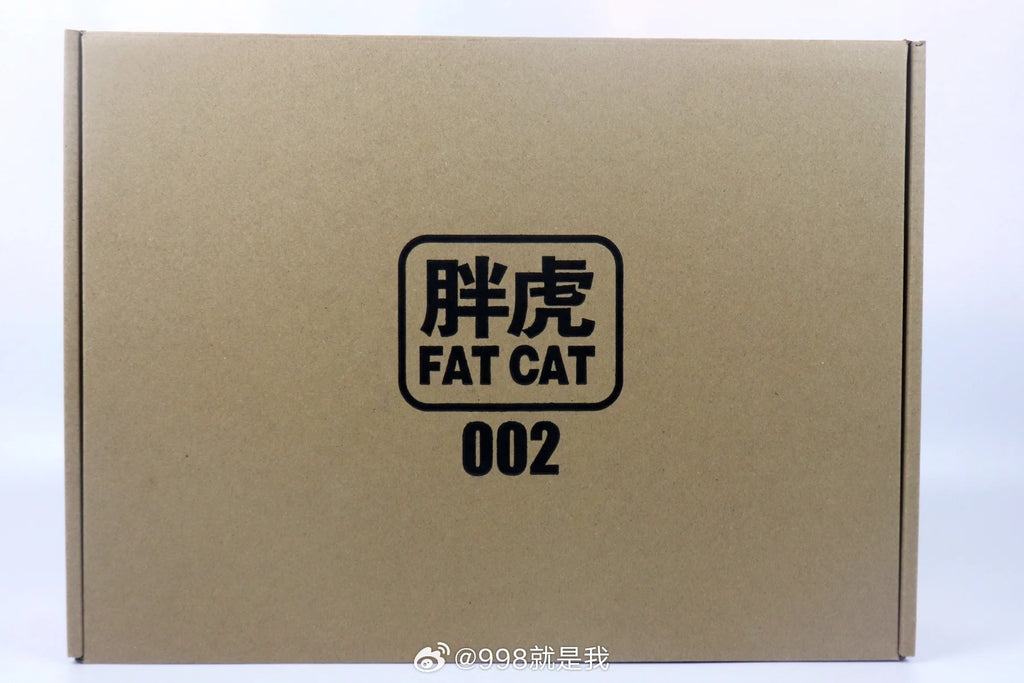 Fat Cat 002 God Mecha 1/100 RG Assembly Model Kit Action Figure Mecha Plastic Models Collection Collectible Anime Figurine Toys