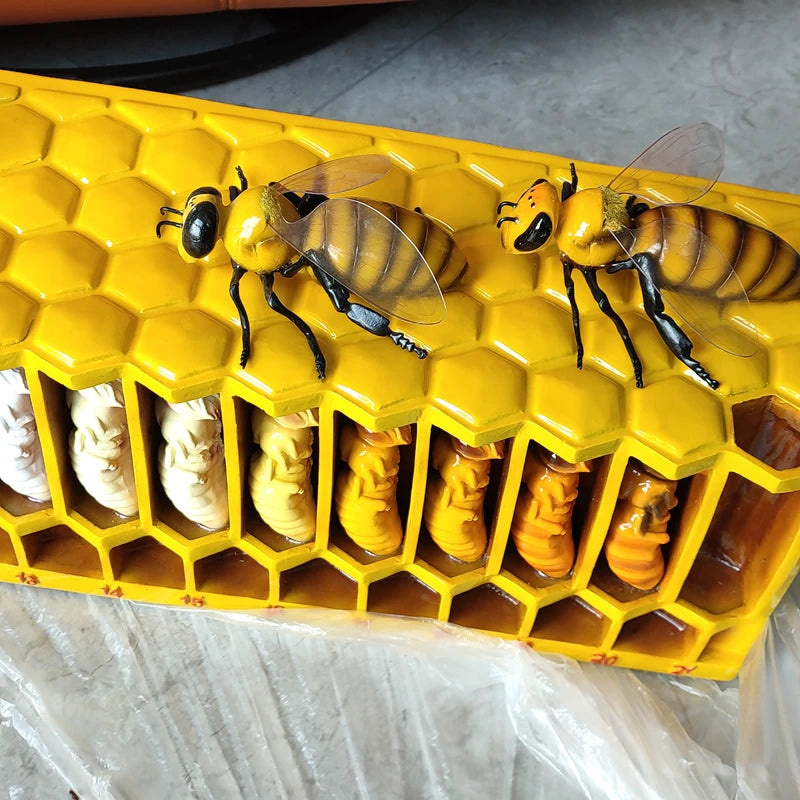 Große Bienen-Lebenszyklus-Form, Bienenzucht-Bildungs-Lehrform, GFK-Glasfaserverstärktes Kunststoffmaterial, Bienen-Lebenszyklus-Form
