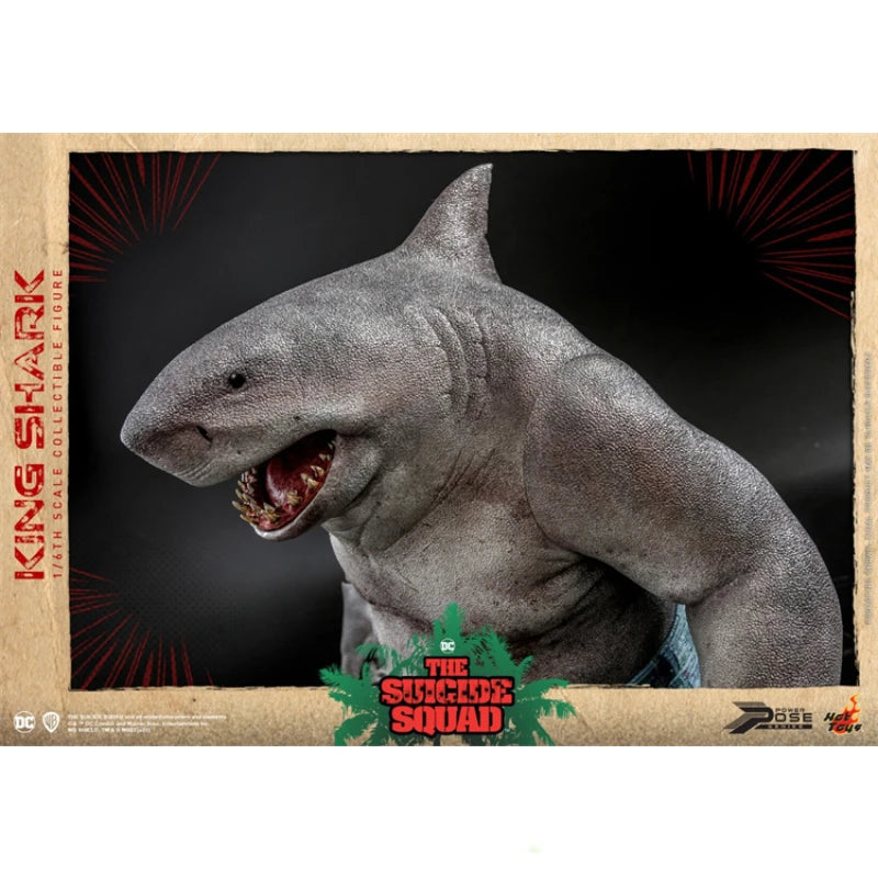 In Stock Hottoys PPS006 King Shark 1/6 Animation Action Figure Toy Gift Model Collection Hobby
