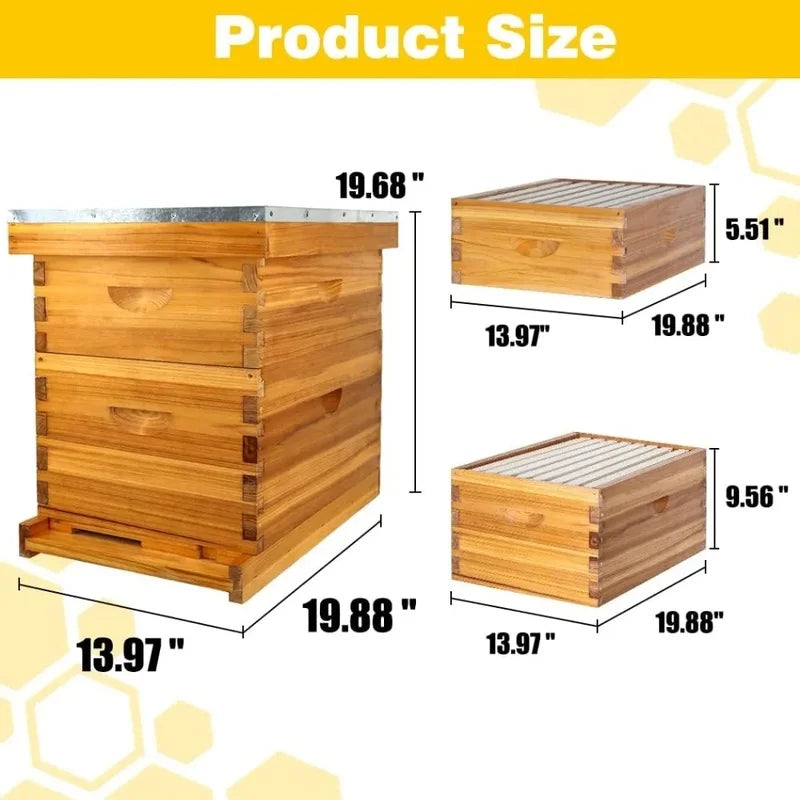 Complete 8 Frame Beehive Kit with Beeswax Coating, Includes Frames and Foundation Sheets for All Beekeeping Levels