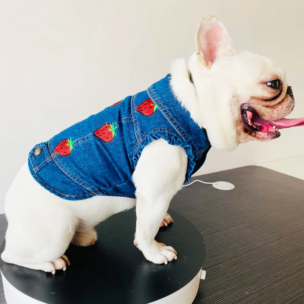 Denim-Hundekleidung für Pitbulls, modische Jeansjacke für Hunde, blaues Cowboy-T-Shirt für Shih Tzu, coole Kleidung für kleine Hunde