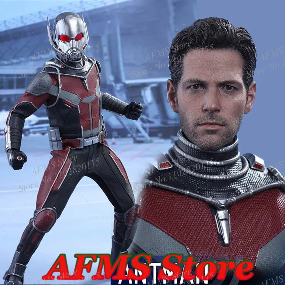 Hot Toys MMS362 1/6 Men Soldier Captain America Civil War Ant-Man Full Set 12Inch Action Figure Model Toys Best Collectible
