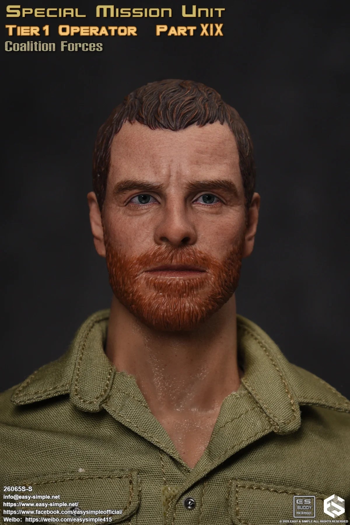 EASY&SIMPLE ES 1:6 26065SS SAS Coalition Forces Soldier Action Figure
