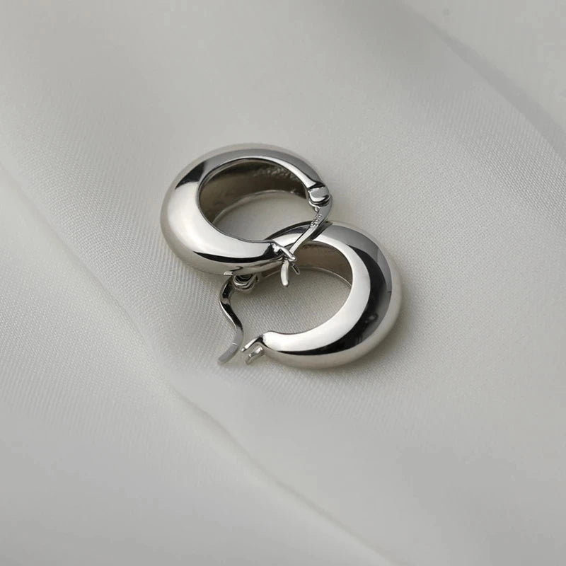 VENTFILLE 925 Sterling Silver Chunky Hoop Earrings for Women Geometric Circle Punk Ear Jewelry Party Gifts 2023 New Dropshipping