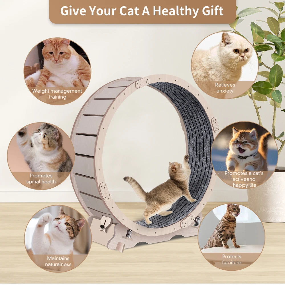 Cat Exercise Wheel For Indoor Cats, Cat Running Wheel With Carpeted Runway, 41" Natural Wood Color