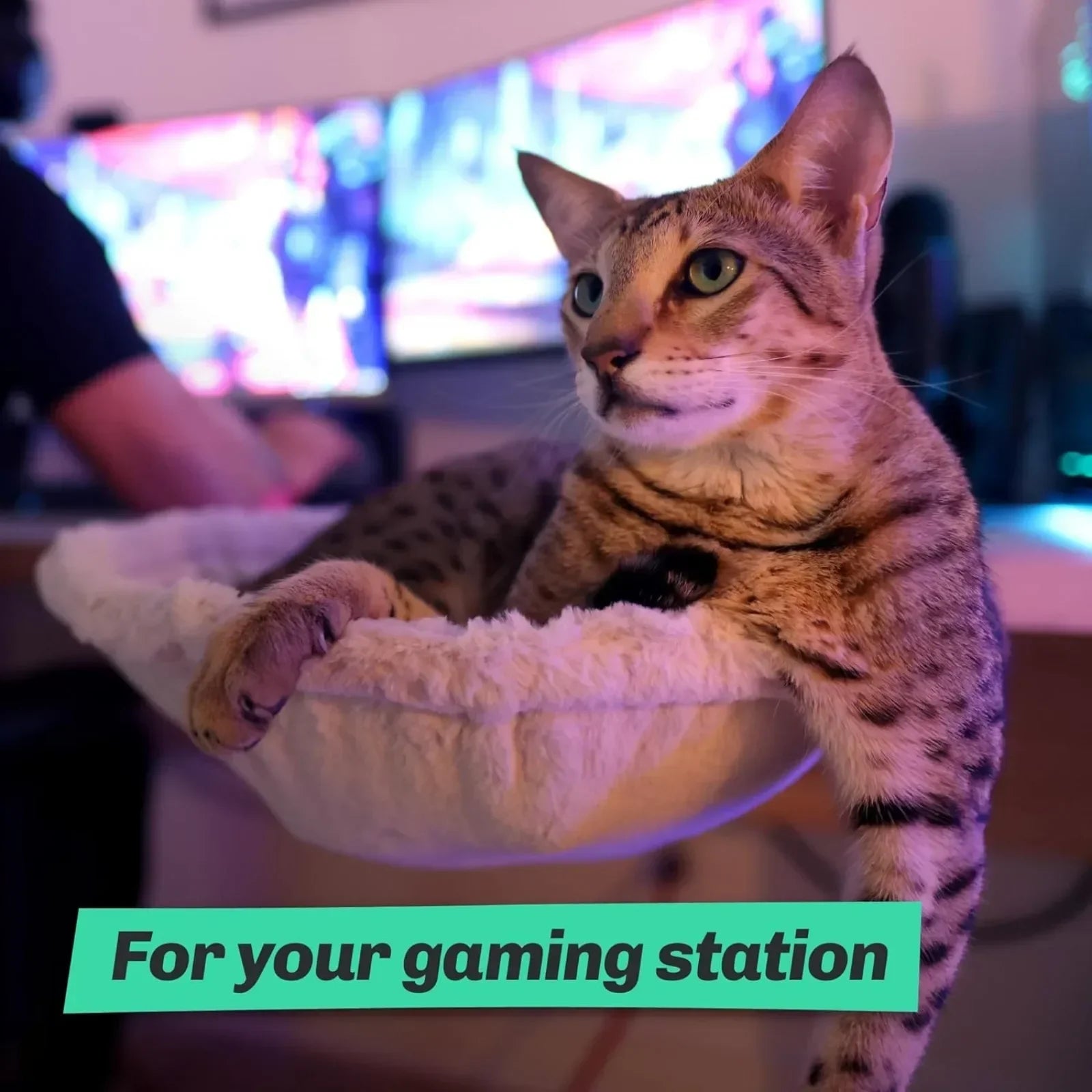 Cat Desk Bed - Soft Faux Fur Fabric, Steel Frame - Adjustable, Cat Shelf Bed for Indoor Cats - Perfect Cat Hammock for Your