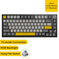 Ajazz AK820/AK820Pro Mechanische Gaming-Tastatur, Bluetooth 5.1/Wireless/C-Wired, angepasste Tastatur mit Hot-Swap-Dichtung für Knöpfe