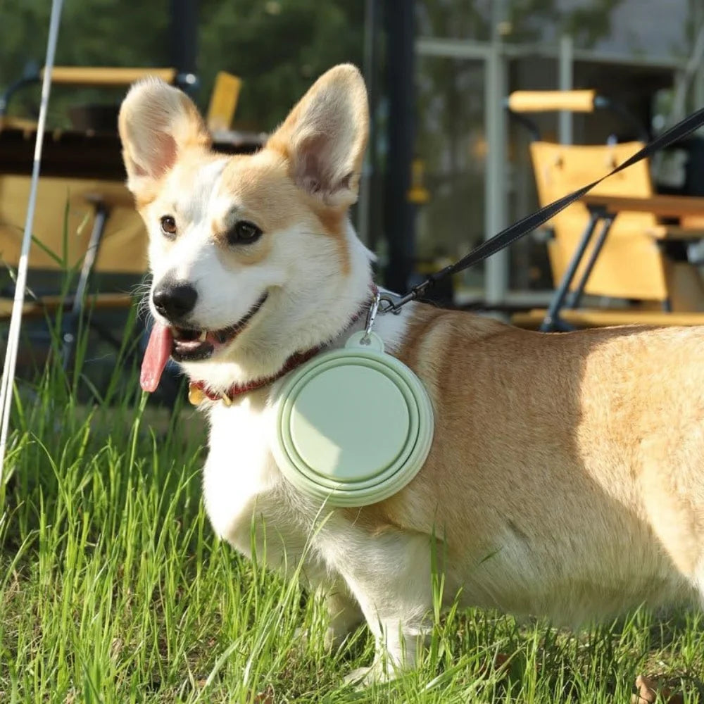 2er-Pack faltbare Silikon-Futter- und Wassernäpfe für Hunde, ideal für Outdoor-Camping und Reisen, mit Karabinerhaken