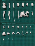 Resin Figure Kit 23CM Jeanne d'Arc Alter Fate 1/7 WF2024S Unpainted Garage Resin Kit Model GK