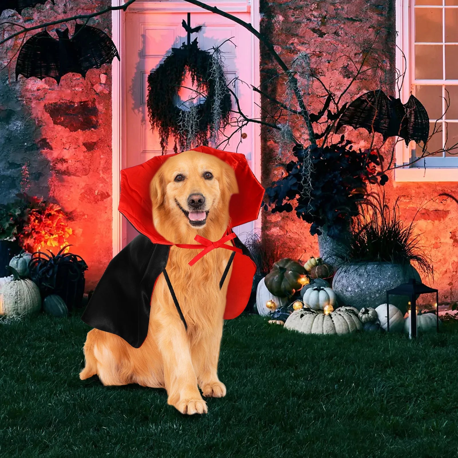 Halloween Costume For Medium Dogs Pet Cloak Dog Costumes Halloween Costume Birthday Dress Pet Vampire Apparel Spooky Capes