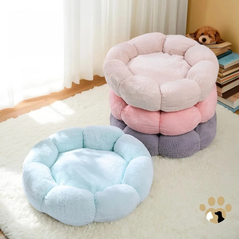 Cat Window Perch Hammock Bed Adjustable Suction Cup Mounted Soft Cushion Sunbathing Shelf Indoor Kittens cats accessories