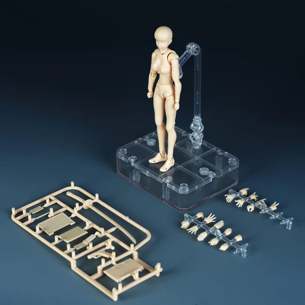 Sketch Draw Male Female Movable Body Kun Body Chan Joint Pain Anime Figure Shf Action Figure Toy Model Draw Mannequin