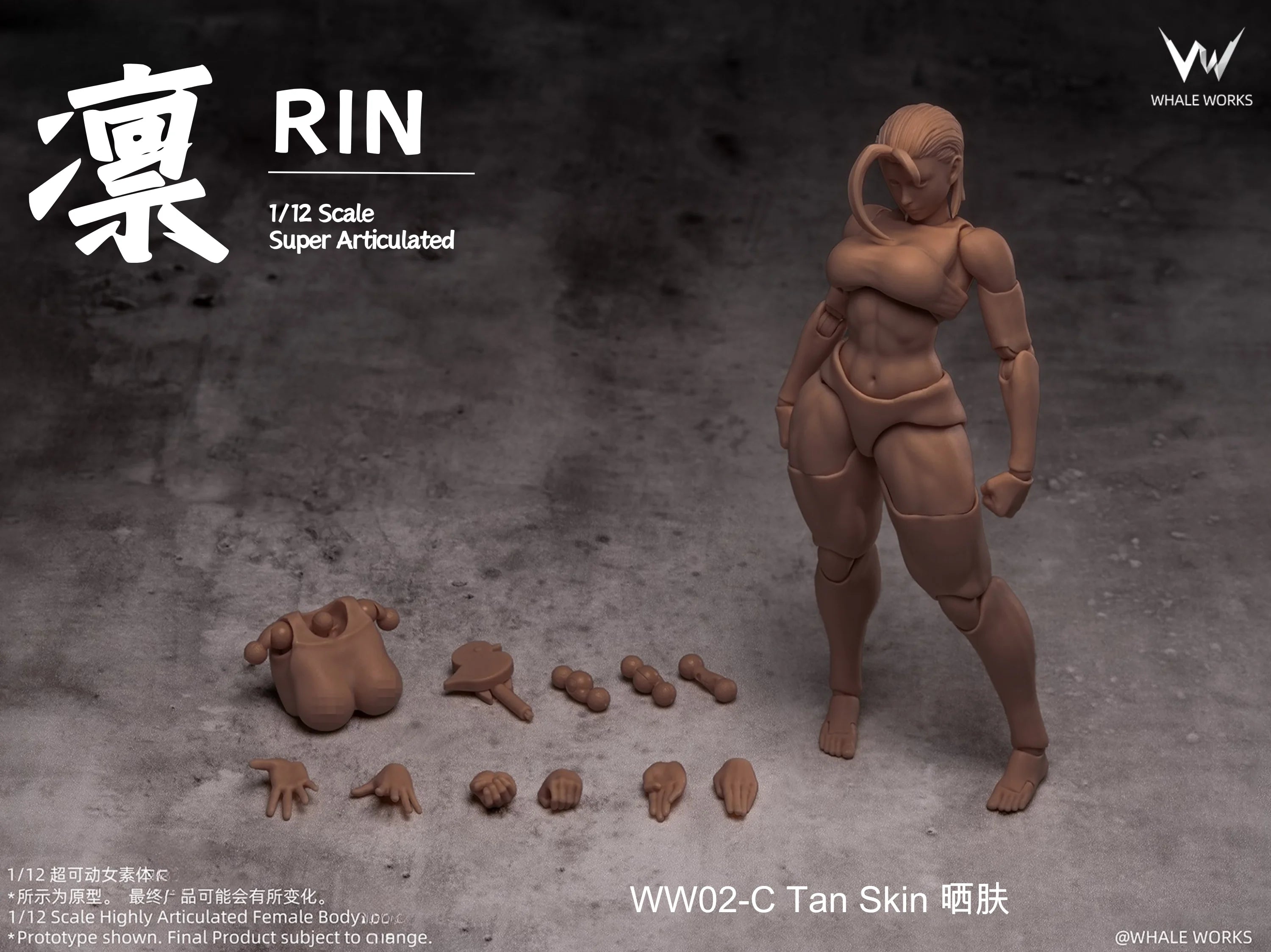 In Stock WHALE WORKS WW01/02 ARIA RIN FEMALE BODY Movable Model Toys 1/12 Super Articulated Cammy White Chun Li