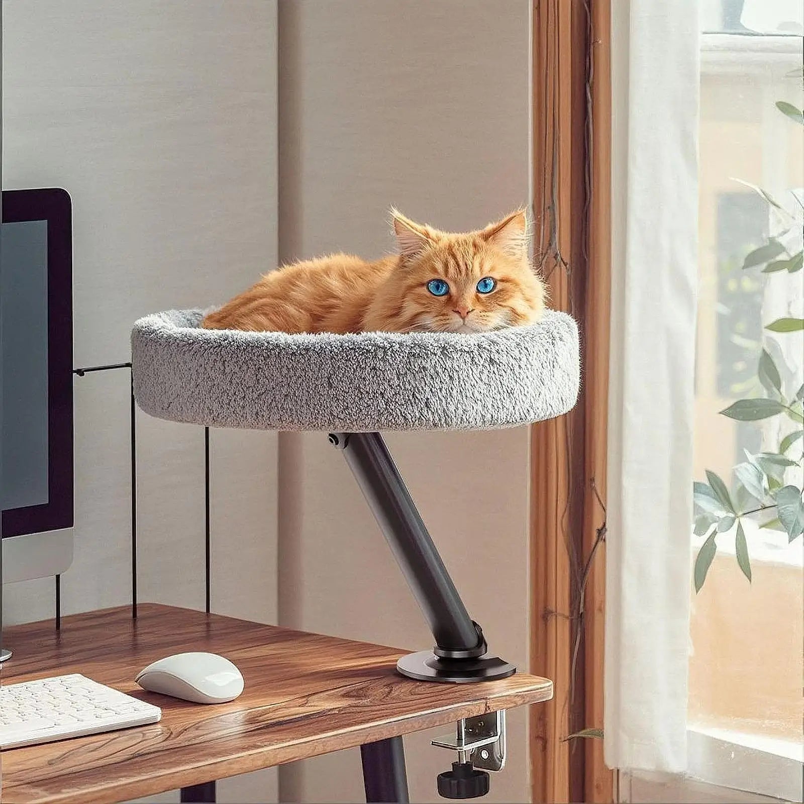 Cat Desk Bed Cat Hammock Elevated Round Sturdy Bed 360° Rotation Cat Nest Kitten Furniture for Home Office Clamping Table