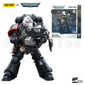 1/18 JOYTOY Action Figure 40K Raven Guard Intercessors Sergeant Rychas Re-issue Version Anime Model Toy