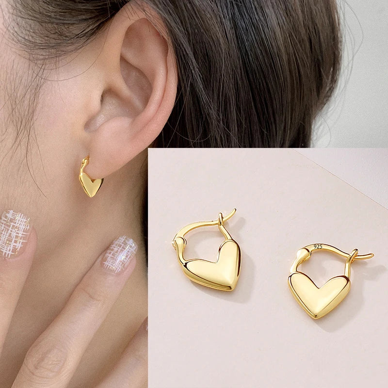 VENTFILLE 925 Sterling Silver Chunky Hoop Earrings for Women Geometric Circle Punk Ear Jewelry Party Gifts 2023 New Dropshipping