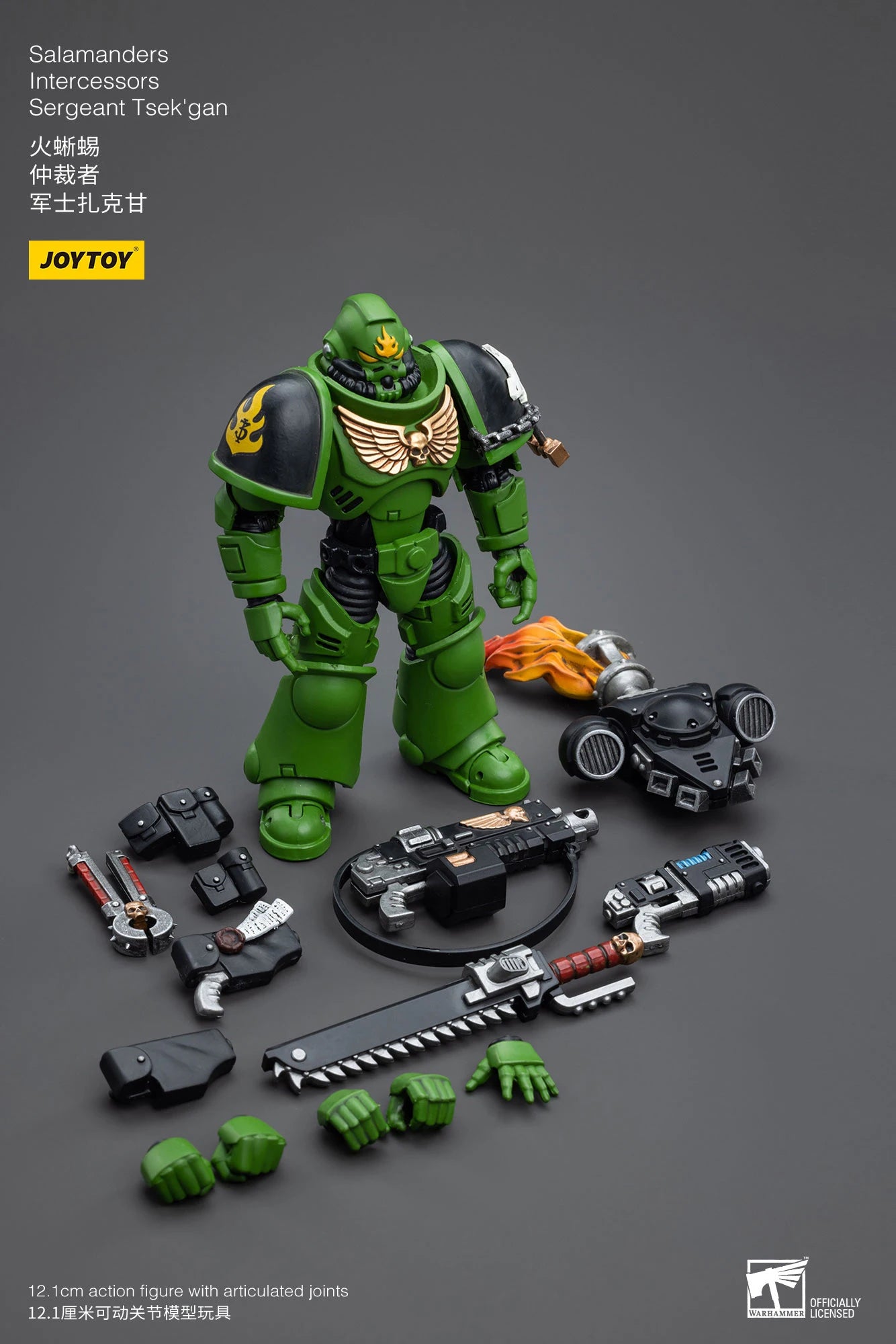 JOYTOY 40K 1/18 Salamanders Intercessors Sergeant Krajax Tsek'gan Brother Haecule Tol'vak Action Figures Model Gift for Collect
