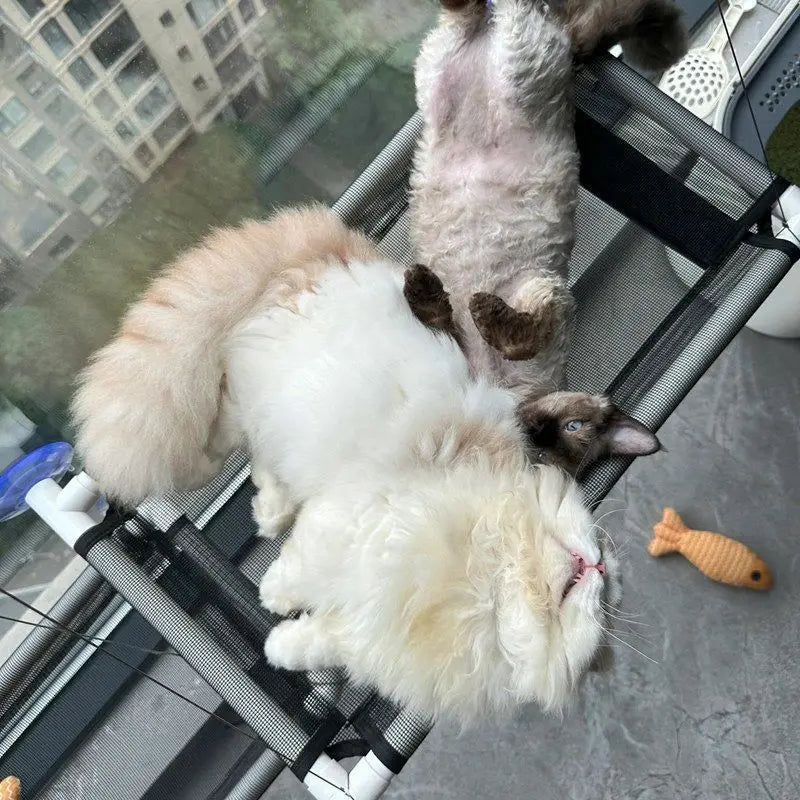 Cat Hammock Window Perch Suction Cup Pet Bed All Season Hanging Cat Nest for Balcony