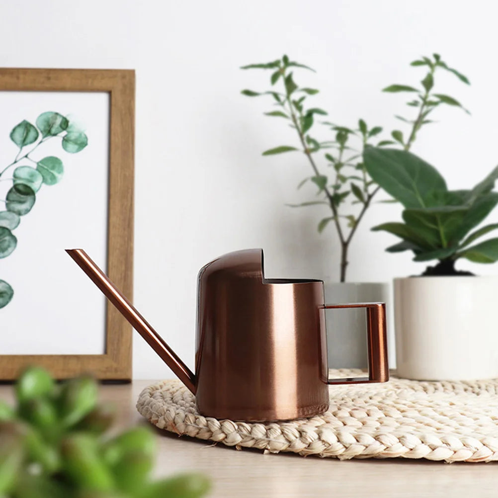 Indoor Plants Watering Can Houseplant Garden Stainless Steel Metal Brown Flower Pot Child