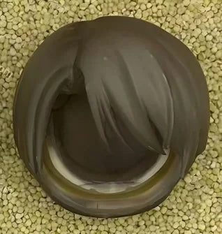 GSC Clay man replaces face hair doll accessories