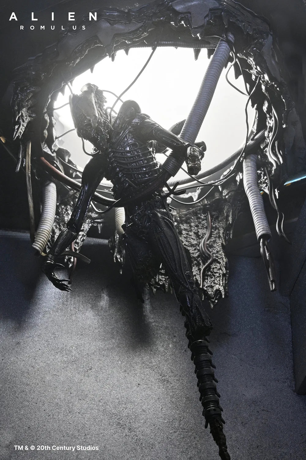 NECA 51743 Toys Alien: Romulus Action Figure Deluxe Suspended Lab Xenomorph XX121 Original Anime Collection Doll Decoration