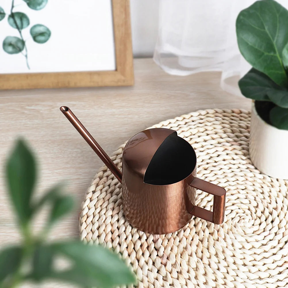 Indoor Plants Watering Can Houseplant Garden Stainless Steel Metal Brown Flower Pot Child