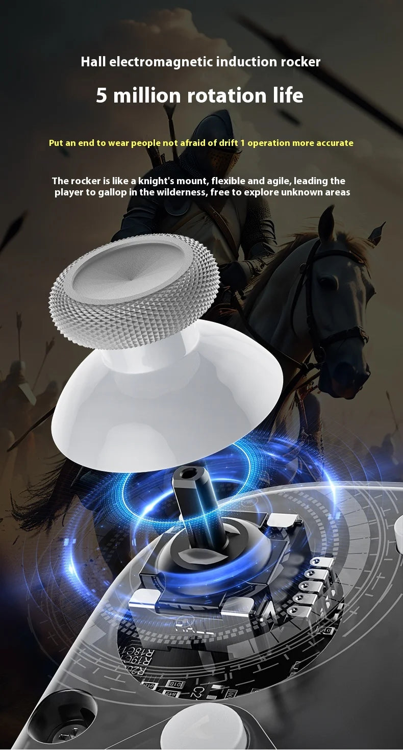 Aolion J20 Wireless Knight Gamepad für links und rechts, RGB-Bewegungssensor, Hall-Joystick für Nintendo Switch 1/2, Controller-Zubehör 