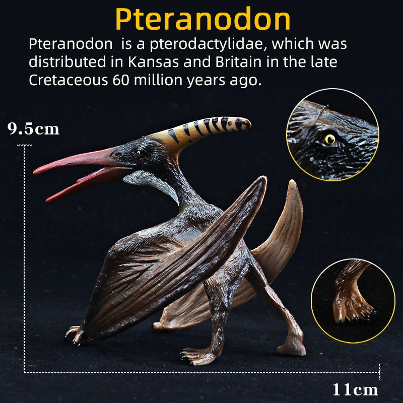 Jurassic Simulation Dinosaur Toy Pterodactyl Pteranodon Haztergo Pterosaur Model Action Figure Animal Collection for Kids Gift