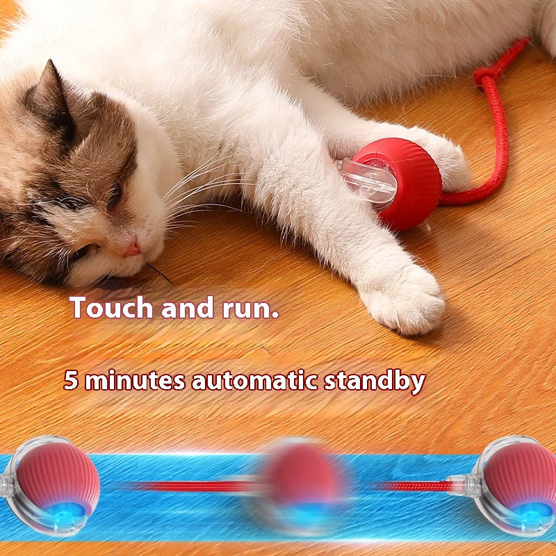 Interaktiver Katzenball: Automatischer Rollball für Kätzchen, wiederaufladbar, intelligentes elektrisches Haustierspielzeug mit Reizsensor