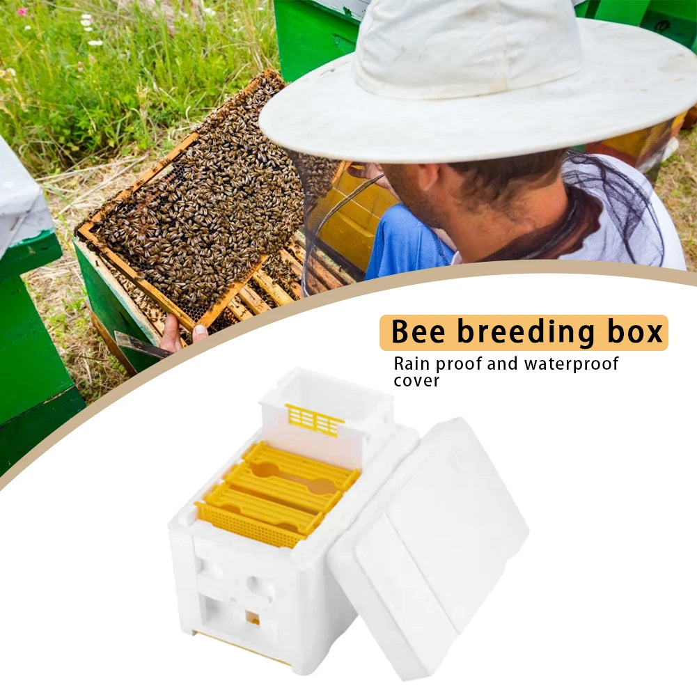Beehive Pollination King Bees Hive Box Beekeeping Tools For Beekeeper Supplies