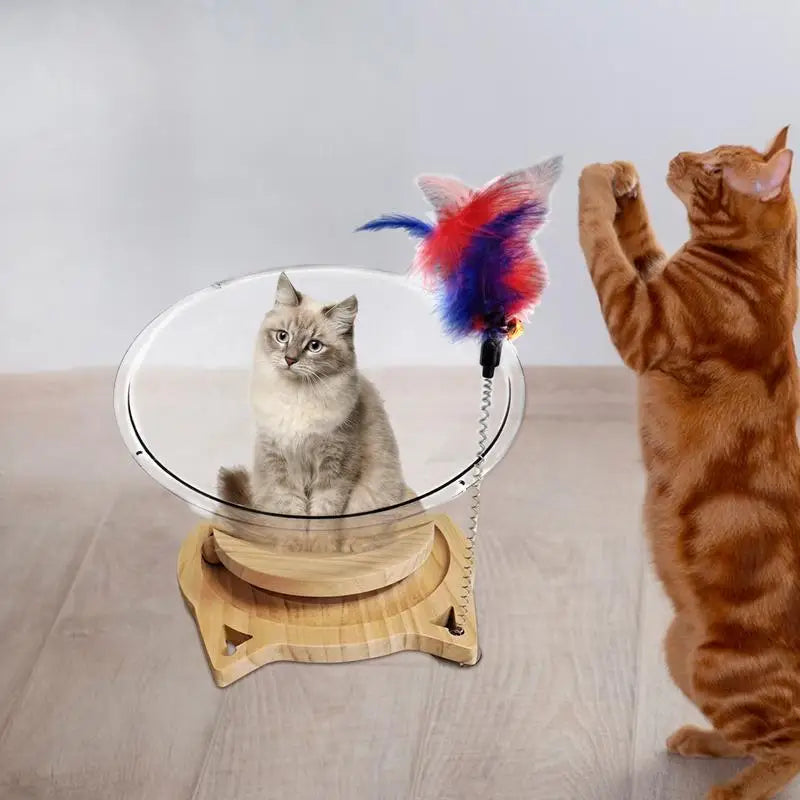 Cat Bowl Bed Cat Houses Spaceship Cat Bed Clear Cat Hammocks Cat Spaceship Cat Bed House Stable Kitten Nest For Indoor Cats