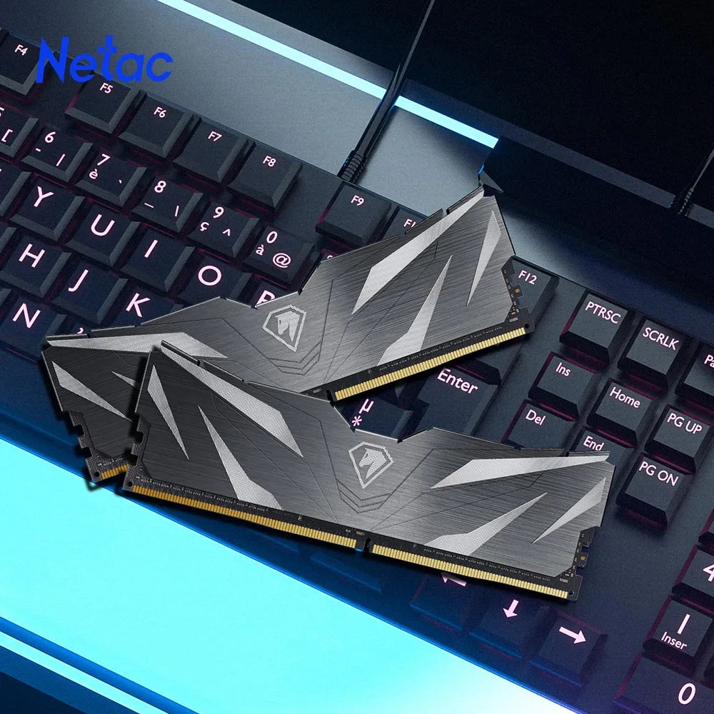 Netac Memoria Ram DDR4 3600MHz 3200MHz 2666MHz 8gb 16gb DDR5 4800MHz Heat Spreader Dual Channel 288Pin UDIMM Desktop Memory