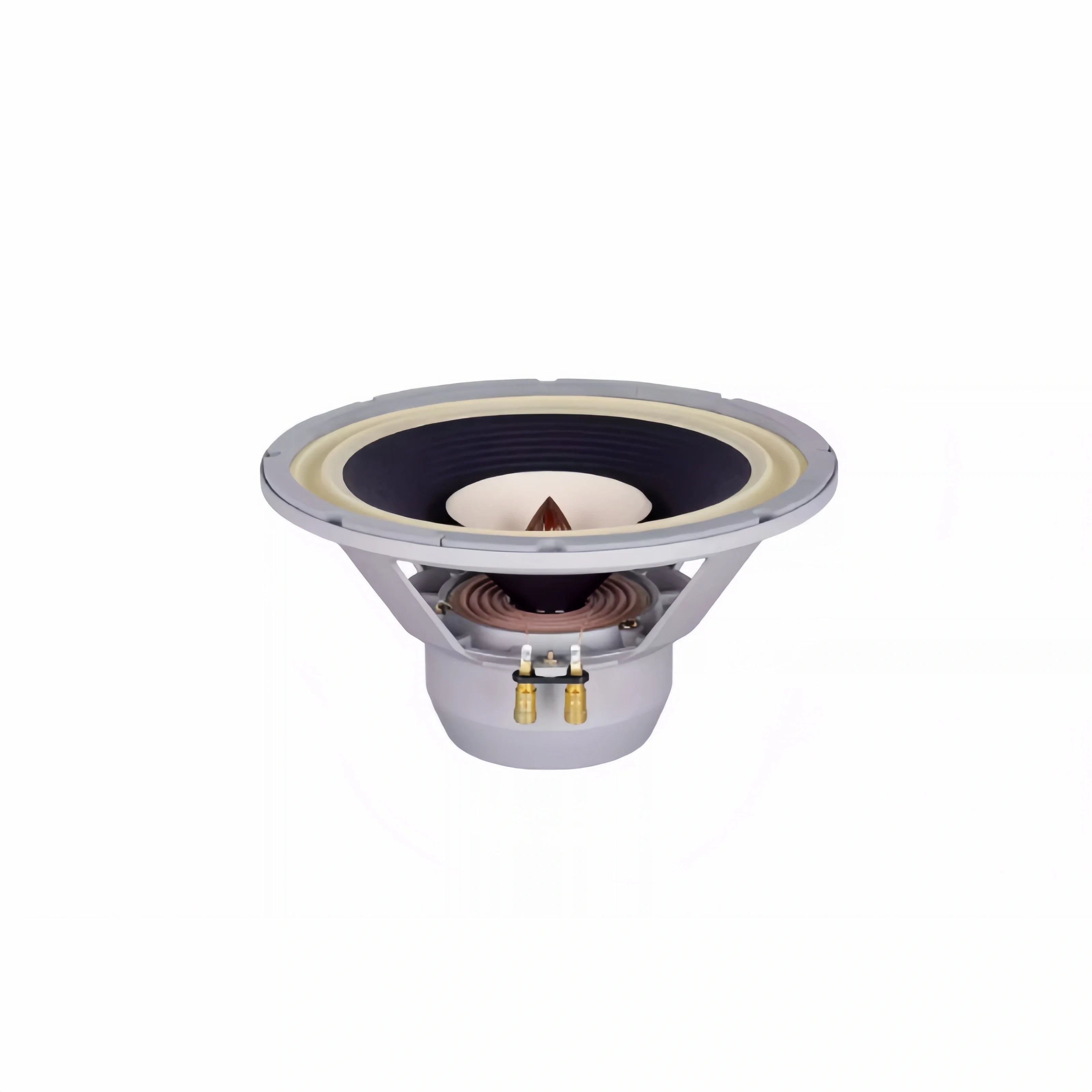 Z-1224 LiiSong Fast-12 12 Inch Full Frequency Speaker 40-80W 8 Ohm Fullrange Drivers （1 Pair）