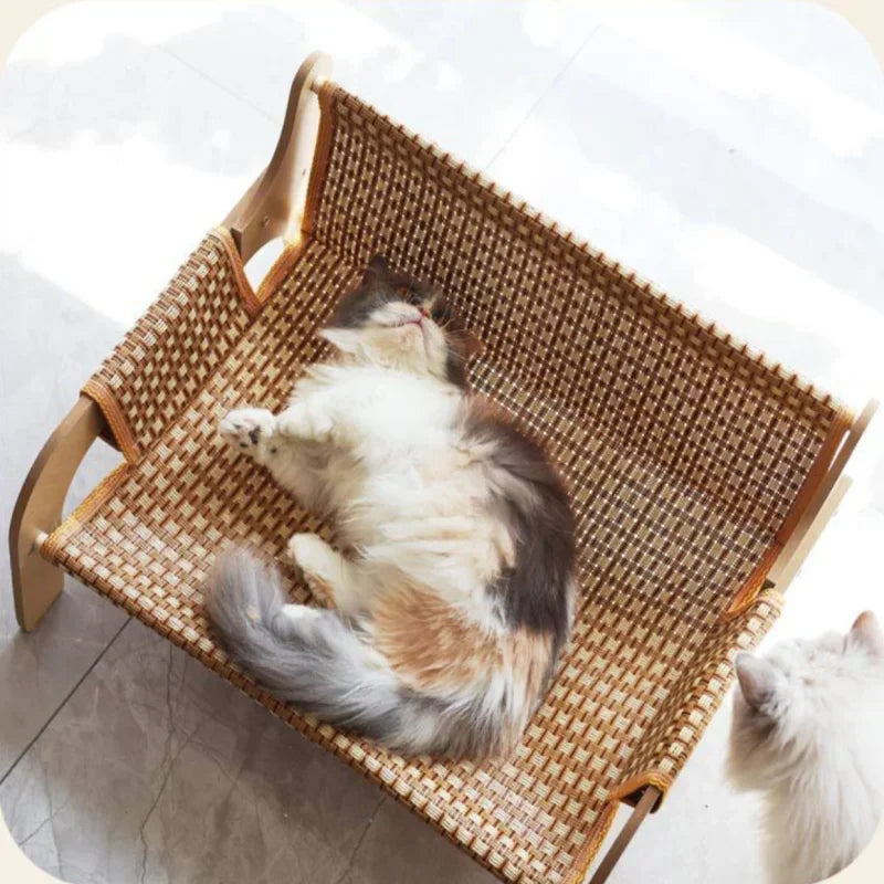 Cat Summer Sofa Bed Pet Bed Houses Habitats Pets Cats Products Sofas Kitten Accessories Kittens Cooling Bed Furniture