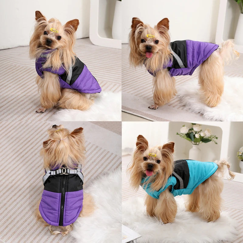 Hundejacke, wasserdichte Winter-Haustierkleidung mit Geschirr für kleine und mittelgroße Hunde, Katzen, Welpenmantel, reflektierende Kleidung für Französische Bulldoggen
