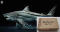 In Stock W-DRAGON Megalodon Model 1/35 45cm Static Statue Carcharocles Megalodon Paleontology Undersea Behemoth