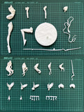 Resin Figure Kit 1/6 Asuka Flying bird Unpainted Garage Resin Kit Model GK