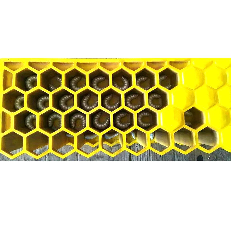 Große Bienen-Lebenszyklus-Form, Bienenzucht-Bildungs-Lehrform, GFK-Glasfaserverstärktes Kunststoffmaterial, Bienen-Lebenszyklus-Form